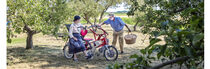 _60A5681 Piet en Annemarie in weiland