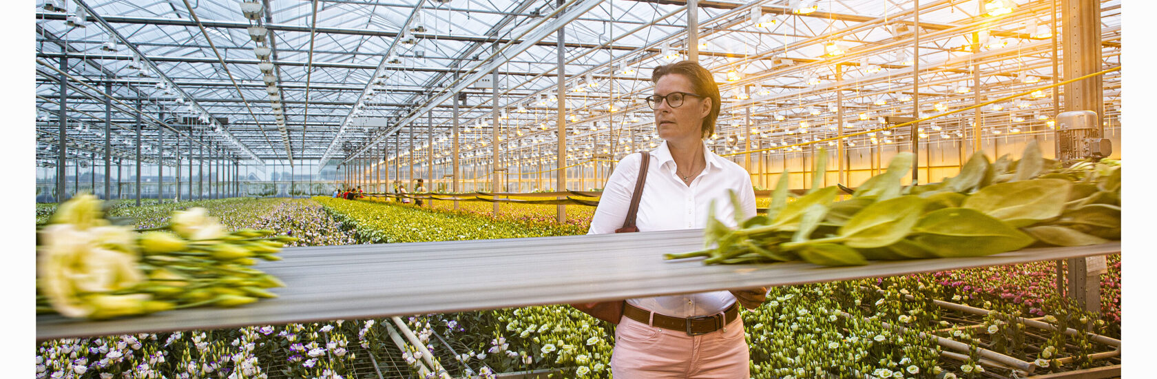 onderneming beëindigen