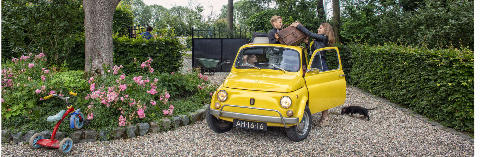 advies bij het starten van een onderneming door onze start-up coaches